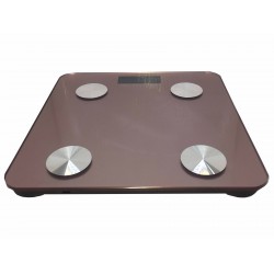 ELECTRONIC PERSONAL SCALE 619